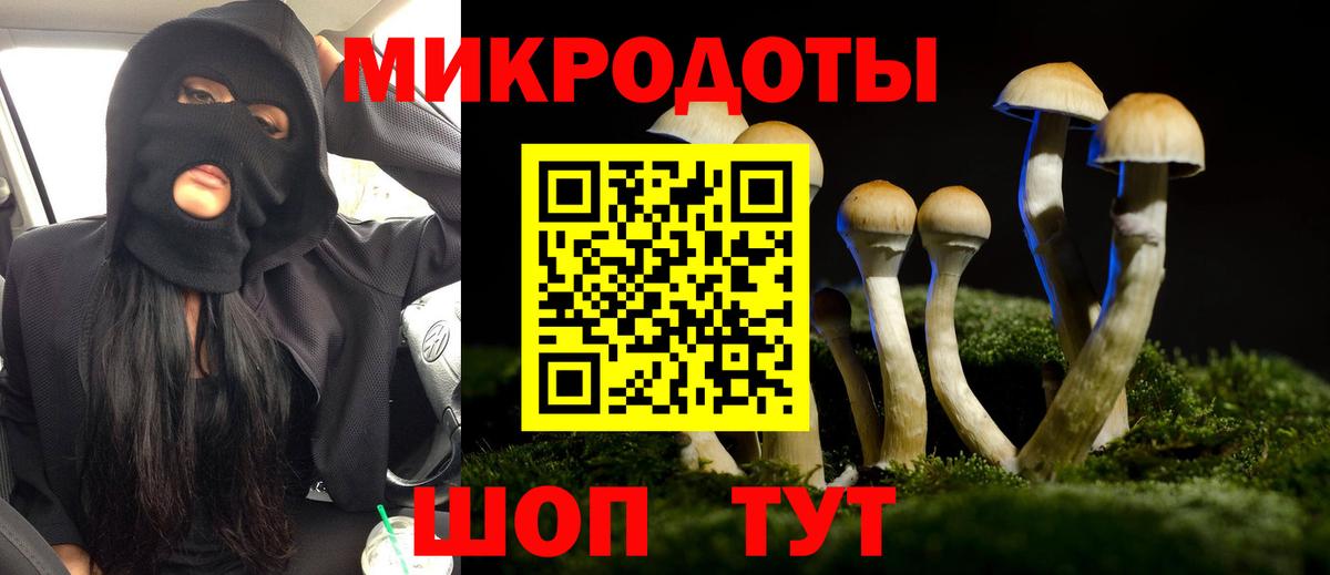 Ликино-Дулёво  Псилоцибиновые грибы Psilocybine cubensis  Вход с VPN 